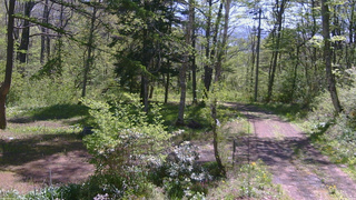 長野県菅平高原 ゆたか山荘 坂上 2026/05/17 09:30