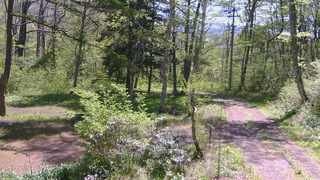 長野県菅平高原 ゆたか山荘 坂上 2026/05/17 09:45