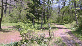 長野県菅平高原 ゆたか山荘 坂上 2026/05/17 11:45