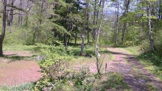 長野県菅平高原 ゆたか山荘 坂上 2026/05/17 12:30