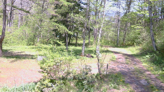 長野県菅平高原 ゆたか山荘 坂上 2026/05/17 13:00