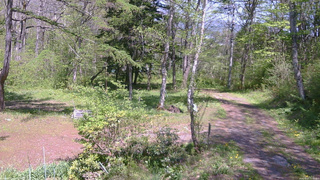 長野県菅平高原 ゆたか山荘 坂上 2026/05/17 13:15