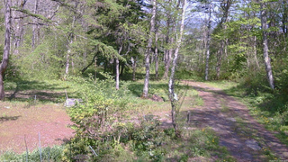 長野県菅平高原 ゆたか山荘 坂上 2026/05/17 13:45