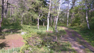 長野県菅平高原 ゆたか山荘 坂上 2026/05/17 15:30