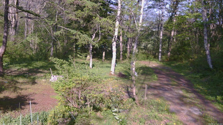 長野県菅平高原 ゆたか山荘 坂上 2026/05/17 16:00