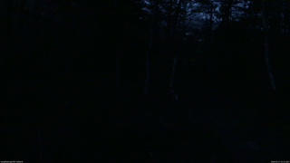 長野県菅平高原 ゆたか山荘 坂上 2026/05/17 19:15