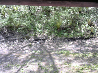 長野県菅平高原 ゆたか山荘 東側(坂下) 2026/05/18 11:30