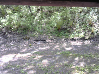 長野県菅平高原 ゆたか山荘 東側(坂下) 2026/05/18 12:45