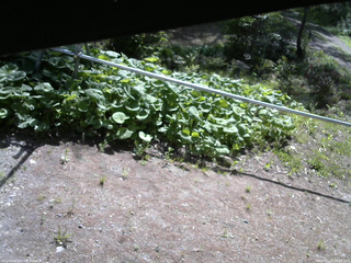 長野県菅平高原 ゆたか山荘 駐車場 2026/05/18 08:30