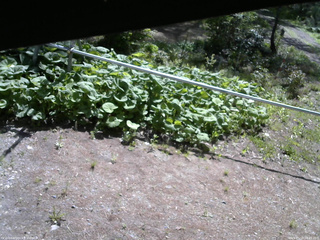 長野県菅平高原 ゆたか山荘 駐車場 2026/05/18 08:45