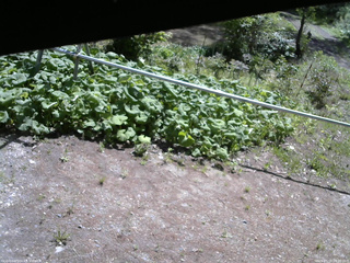 長野県菅平高原 ゆたか山荘 駐車場 2026/05/18 09:30