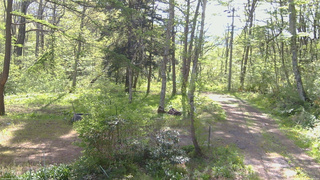 長野県菅平高原 ゆたか山荘 坂上 2026/05/18 08:00