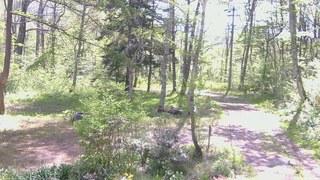 長野県菅平高原 ゆたか山荘 坂上 2026/05/18 09:00