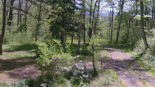 長野県菅平高原 ゆたか山荘 坂上 2026/05/18 09:30