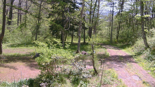 長野県菅平高原 ゆたか山荘 坂上 2026/05/18 10:15