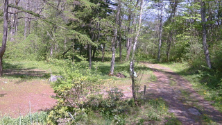 長野県菅平高原 ゆたか山荘 坂上 2026/05/18 13:15