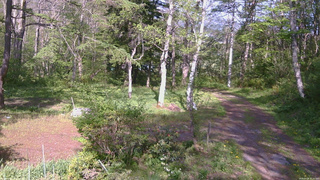 長野県菅平高原 ゆたか山荘 坂上 2026/05/18 15:15