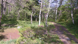 長野県菅平高原 ゆたか山荘 坂上 2026/05/18 15:30