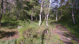 長野県菅平高原 ゆたか山荘 坂上 2026/05/18 16:30