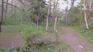 長野県菅平高原 ゆたか山荘 坂上 2026/05/18 18:30