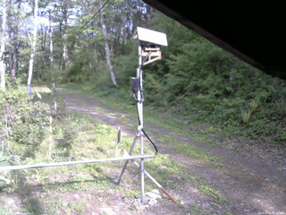 長野県菅平高原 ゆたか山荘 南側 2026/05/19 15:45