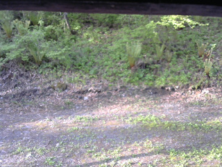 長野県菅平高原 ゆたか山荘 東側(坂下) 2026/05/19 06:00