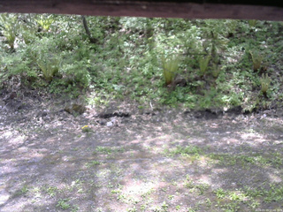 長野県菅平高原 ゆたか山荘 東側(坂下) 2026/05/19 11:45