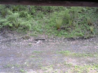 長野県菅平高原 ゆたか山荘 東側(坂下) 2026/05/19 14:15