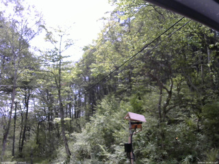 長野県菅平高原 ゆたか山荘 温度計 2026/05/19 09:15