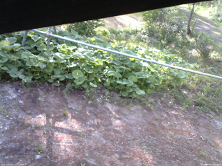 長野県菅平高原 ゆたか山荘 駐車場 2026/05/19 06:15