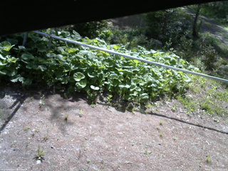 長野県菅平高原 ゆたか山荘 駐車場 2026/05/19 08:15