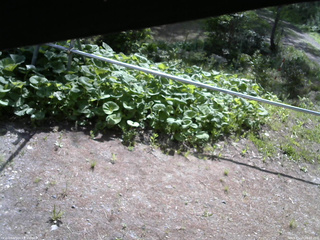 長野県菅平高原 ゆたか山荘 駐車場 2026/05/19 08:30