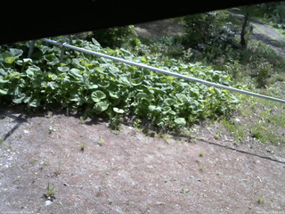 長野県菅平高原 ゆたか山荘 駐車場 2026/05/19 08:45