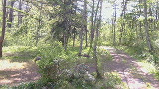 長野県菅平高原 ゆたか山荘 坂上 2026/05/19 08:15
