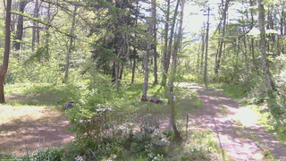 長野県菅平高原 ゆたか山荘 坂上 2026/05/19 08:30