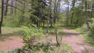 長野県菅平高原 ゆたか山荘 坂上 2026/05/19 11:00