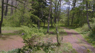 長野県菅平高原 ゆたか山荘 坂上 2026/05/19 11:15