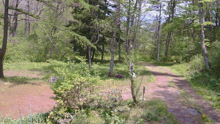 長野県菅平高原 ゆたか山荘 坂上 2026/05/19 12:15