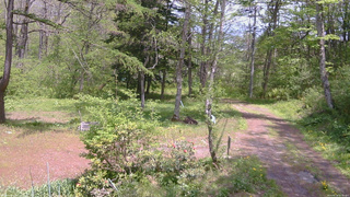 長野県菅平高原 ゆたか山荘 坂上 2026/05/19 12:30