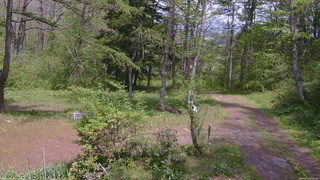 長野県菅平高原 ゆたか山荘 坂上 2026/05/19 12:45