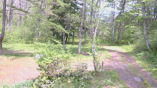 長野県菅平高原 ゆたか山荘 坂上 2026/05/19 13:00
