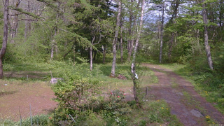 長野県菅平高原 ゆたか山荘 坂上 2026/05/19 13:45