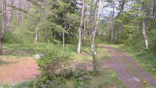 長野県菅平高原 ゆたか山荘 坂上 2026/05/19 14:15