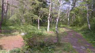 長野県菅平高原 ゆたか山荘 坂上 2026/05/19 15:00