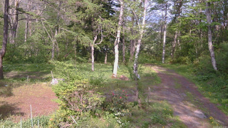 長野県菅平高原 ゆたか山荘 坂上 2026/05/19 15:30