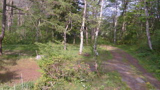 長野県菅平高原 ゆたか山荘 坂上 2026/05/19 15:45