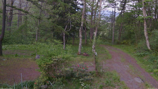 長野県菅平高原 ゆたか山荘 坂上 2026/05/19 18:15