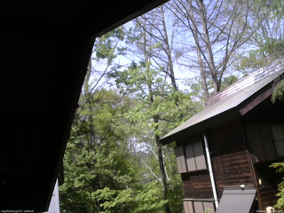 長野県菅平高原 ゆたか山荘 北側 2026/05/20 13:30