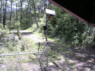 長野県菅平高原 ゆたか山荘 南側 2026/05/20 10:30