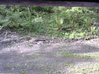 長野県菅平高原 ゆたか山荘 東側(坂下) 2026/05/20 07:15